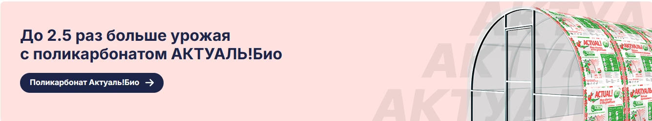 сафпласт 3